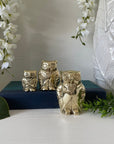 Small Mini Charming Vintage Brass Owl Trio in Retro Tuxedos