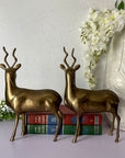 Vintage Brass Kudu Antelope Pair