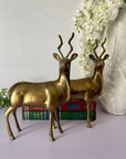 Vintage Brass Kudu Antelope Pair