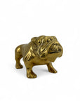 Large Vintage Brass Bulldog 11.5 pounds