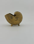 Vintage Brass Shell Stash Pot/Planter