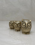 Vintage Brass Owl Family- A Set of Three