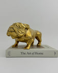 Large Vintage Brass Bulldog 11.5 pounds