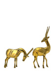 Rare Vintage Polished Brass Gazelle Pair | Mid-Century Modern Antelope Sculptures
