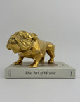Large Vintage Brass Bulldog 11.5 pounds