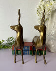 Vintage Brass Kudu Antelope Pair