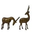 Vintage Mid-Century Brass Antelope Gazelle Figurines – Pair with Long Horns, Safari Wildlife Decor