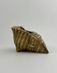 Vintage Brass Shell Vessel (Planter/Catchall)