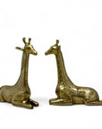 Vintage Brass Sitting Giraffes-A Pair