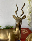 Vintage Brass Kudu Antelope Pair
