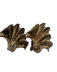 Vintage Brass Shell Dishes – Set of 2 Coastal Sculptural Accents