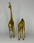Vintage Brass Giraffes- A Pair