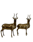 Vintage Brass Kudu Antelope Pair