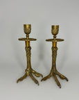 Brass Claw Candlesticks