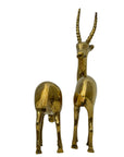Rare Vintage Polished Brass Gazelle Pair | Mid-Century Modern Antelope Sculptures