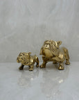 Pair of Vintage Brass Bulldogs - A Tribute to Fatherhood and Friendship