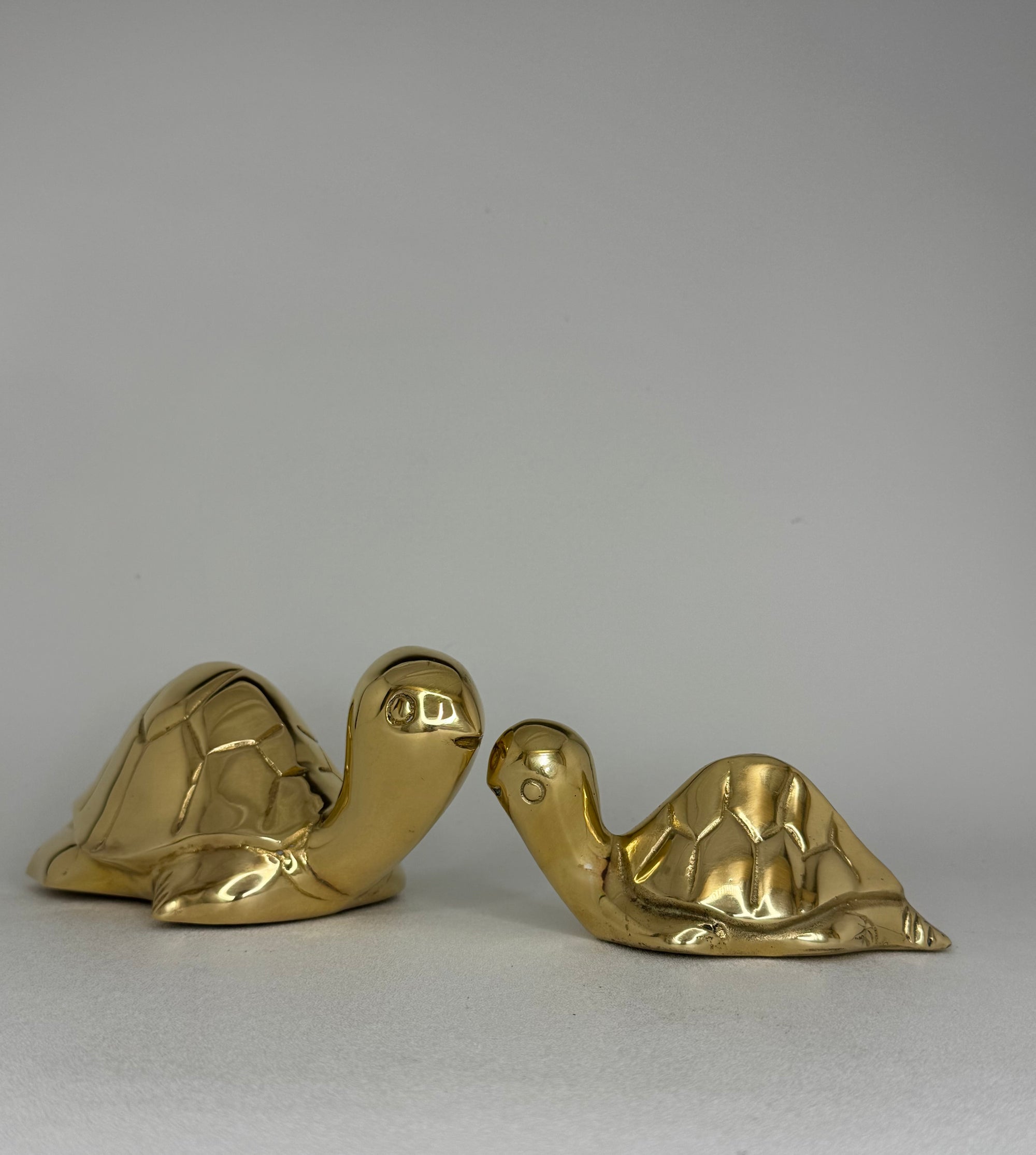 Vintage Brass Turtle Pals- A Pair