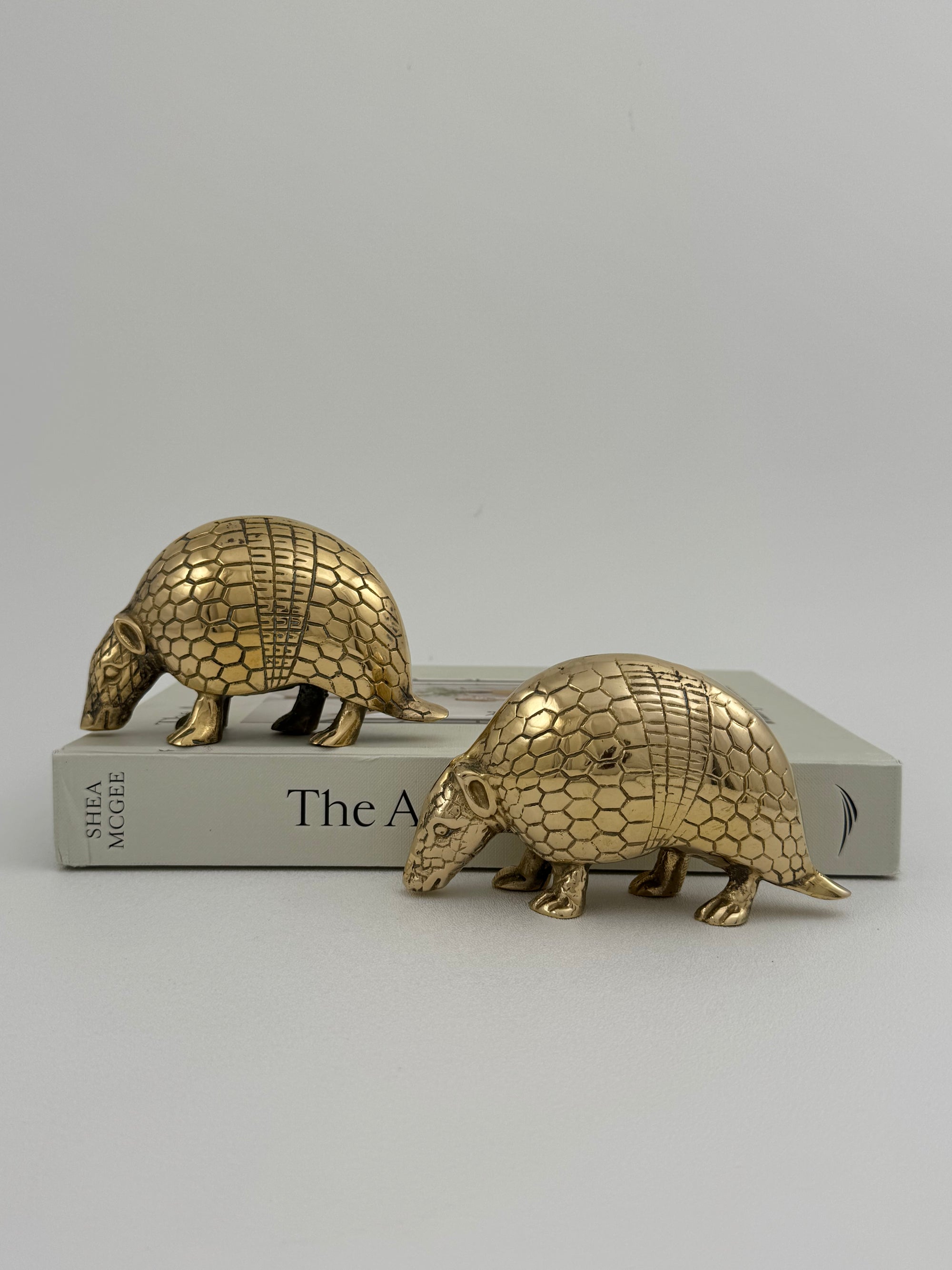Vintage Brass Armadillos-A Pair