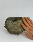 Vintage Big Brass Conch Sea Shell Planter- 8"