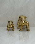 Pair of Vintage Brass Bulldogs - A Tribute to Fatherhood and Friendship