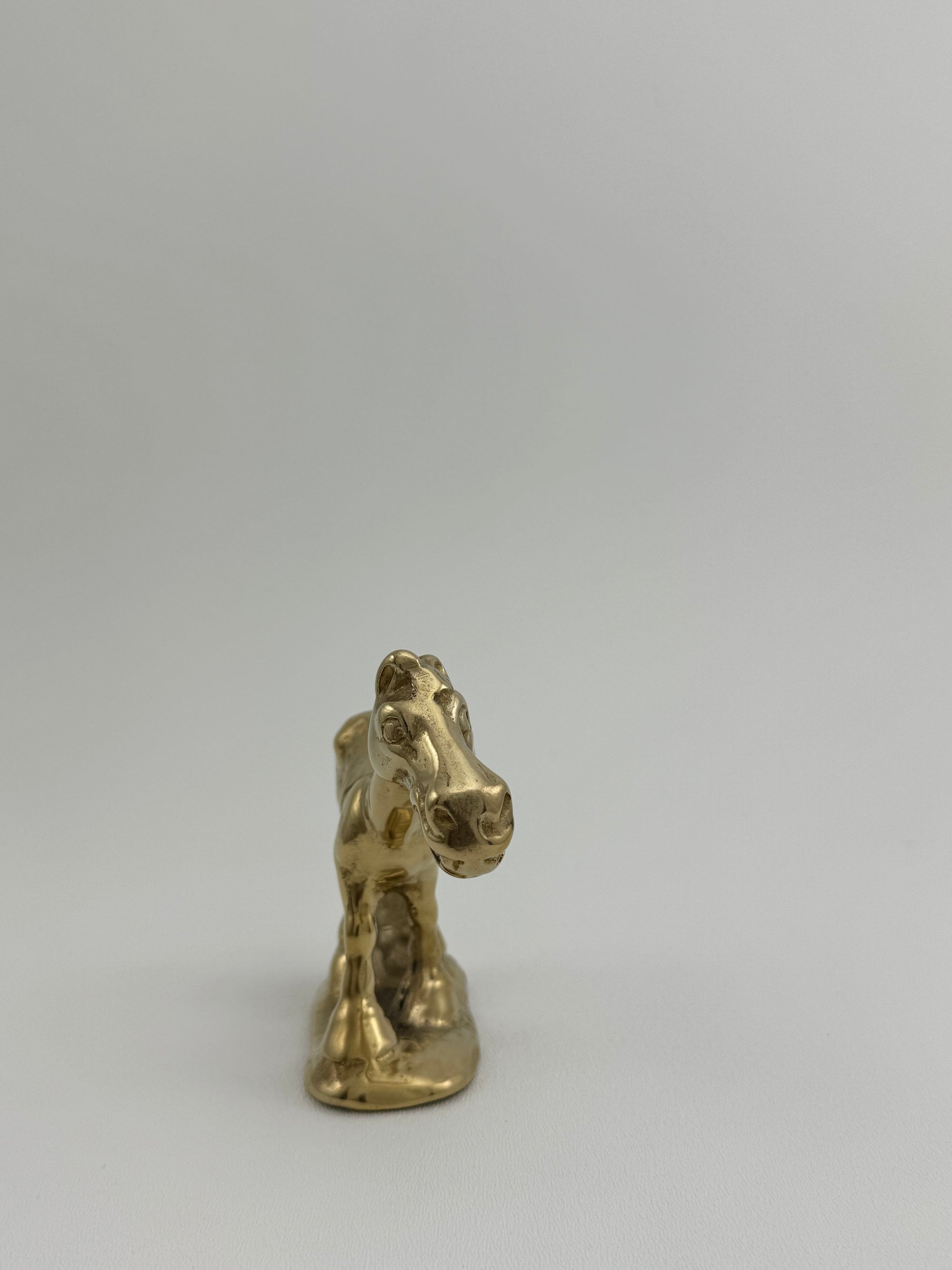 Vintage Brass Smiling Donkey: Cheeky Side-Eye Charm – The Perfect “Jackass” Gift