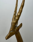 Dolbi Cashier Style Brass Gazelle Sculpture – 19” Tall Mid Century Modern Antelope – Statement Safari Decor