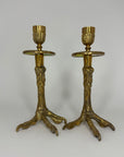 Brass Claw Candlesticks