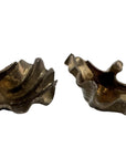 Vintage Brass Shell Dishes – Set of 2 Coastal Sculptural Accents