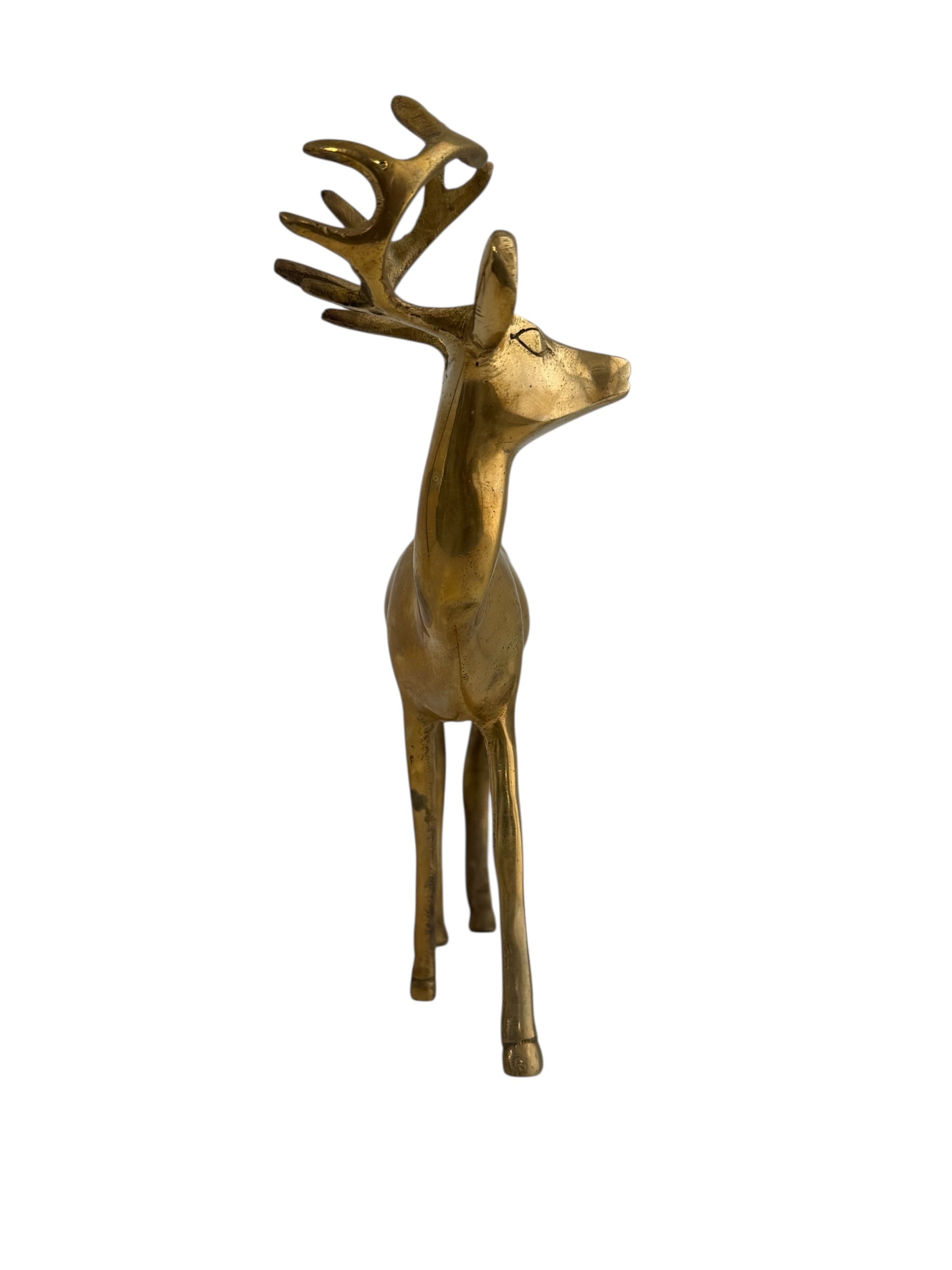 Vintage Brass Deer in a Gentle Gaze