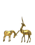 Rare Vintage Polished Brass Gazelle Pair | Mid-Century Modern Antelope Sculptures