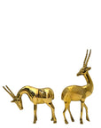 Rare Vintage Polished Brass Gazelle Pair | Mid-Century Modern Antelope Sculptures