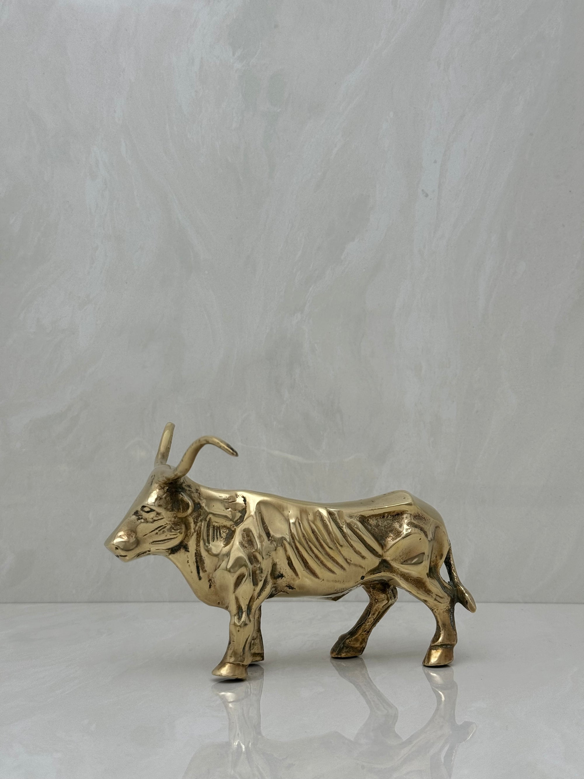 Vintage Brass Longhorn