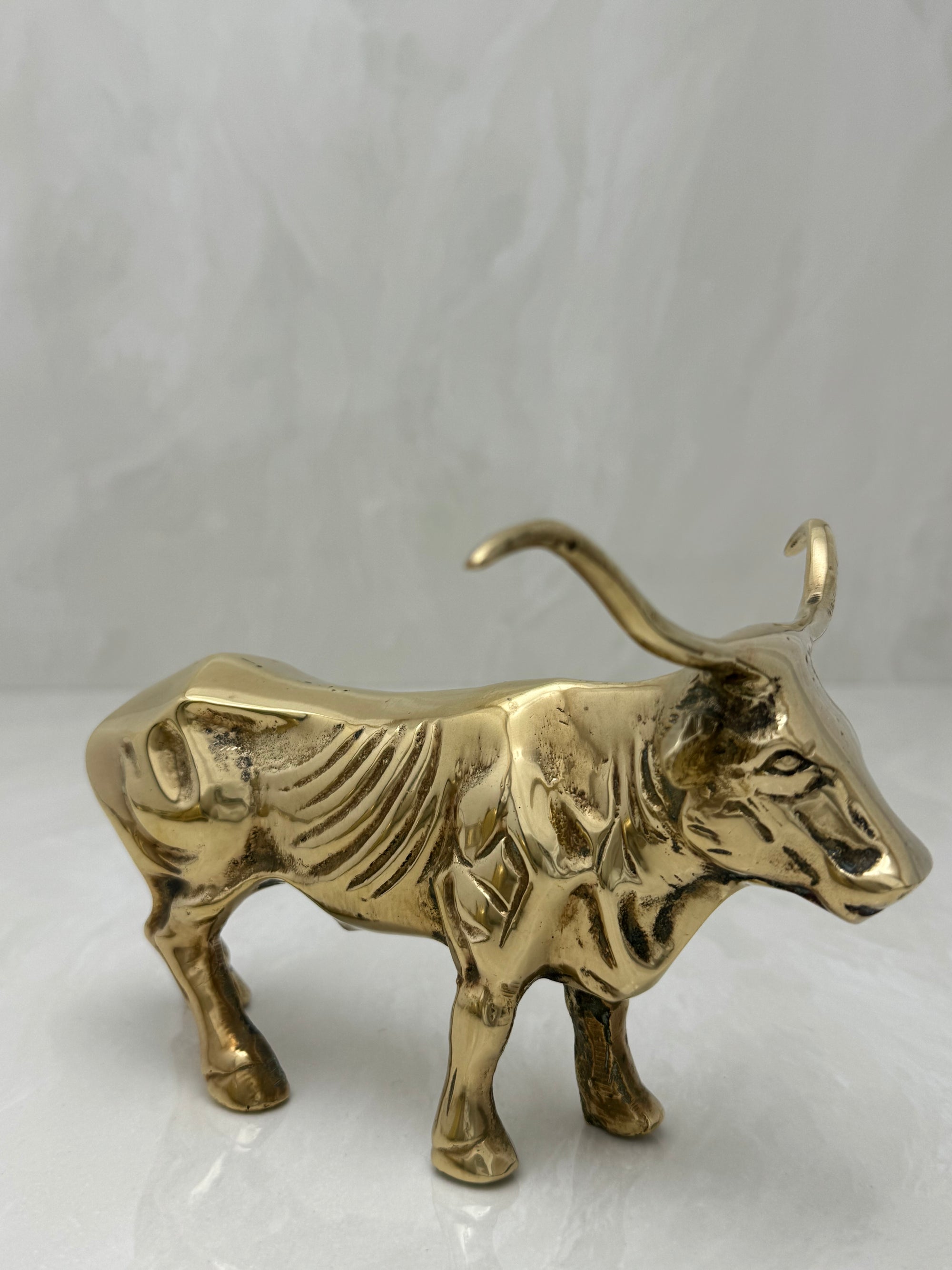 Vintage Brass Longhorn