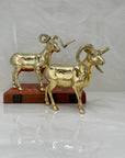 Cute Vintage Brass Antelopes-A Pair