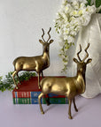 Vintage Brass Antelopes- A Pair