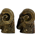 Vintage Brass Ram Head Bookends