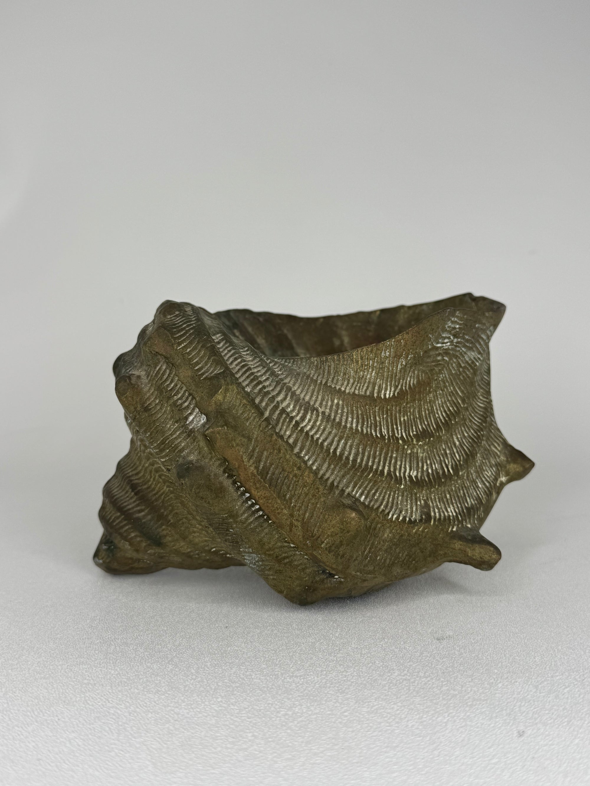 Vintage Big Brass Conch Sea Shell Planter- 8"
