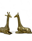 Vintage Brass Sitting Giraffes-A Pair