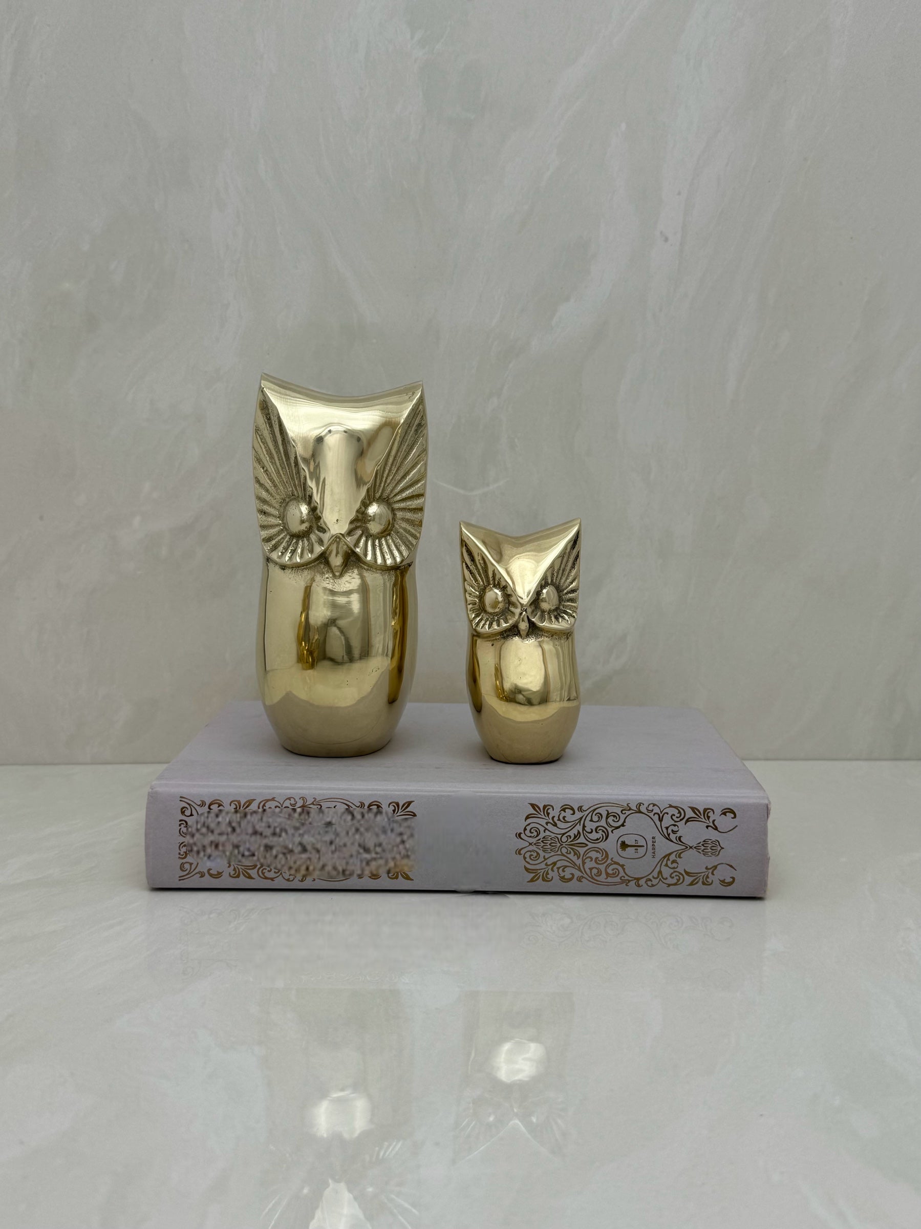 Vintage Brass Owls-Pair