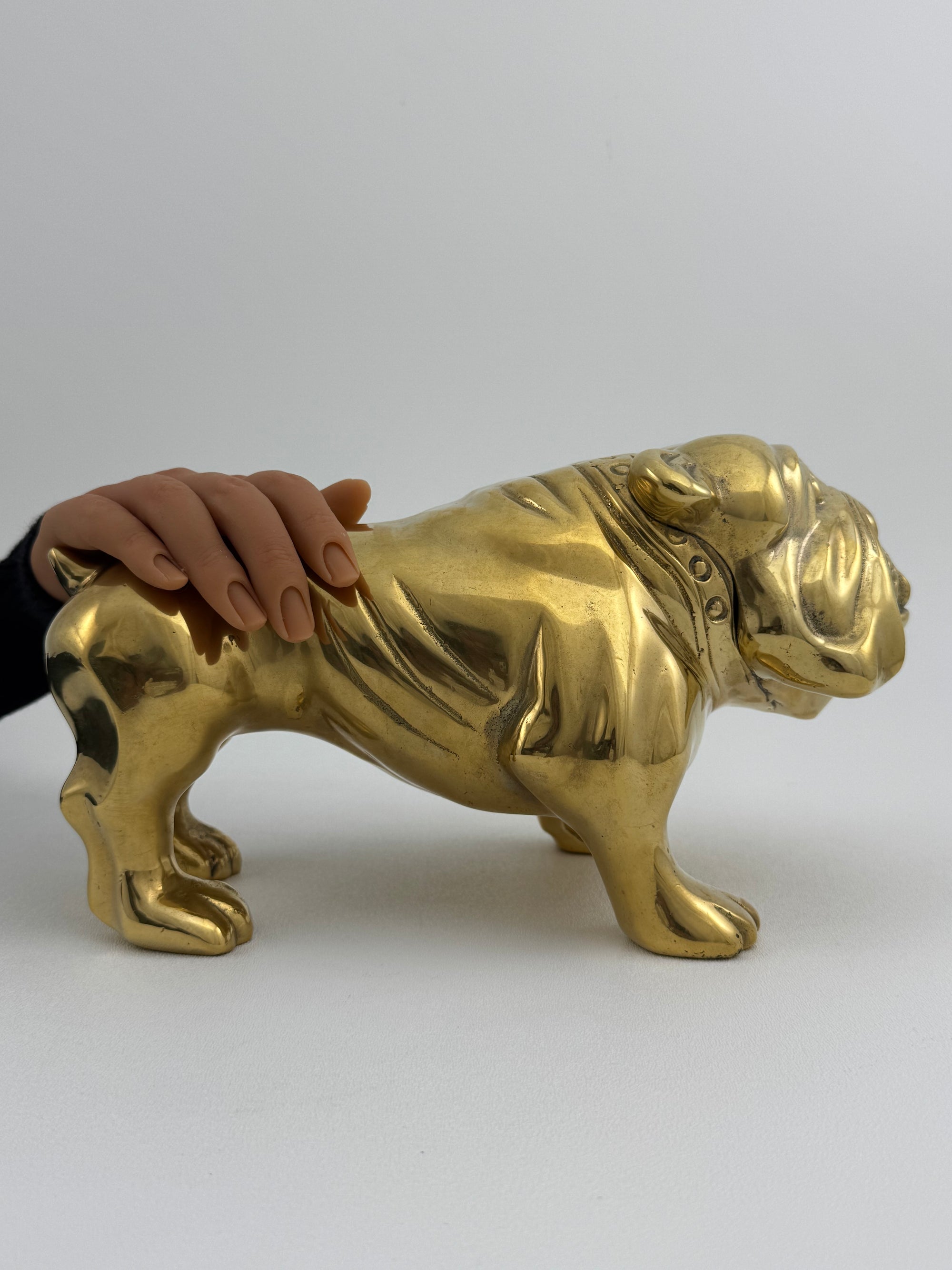 Large Vintage Brass Bulldog 11.5 pounds