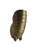 Vintage Brass Nautilus Shell Wine Bucket or Planter