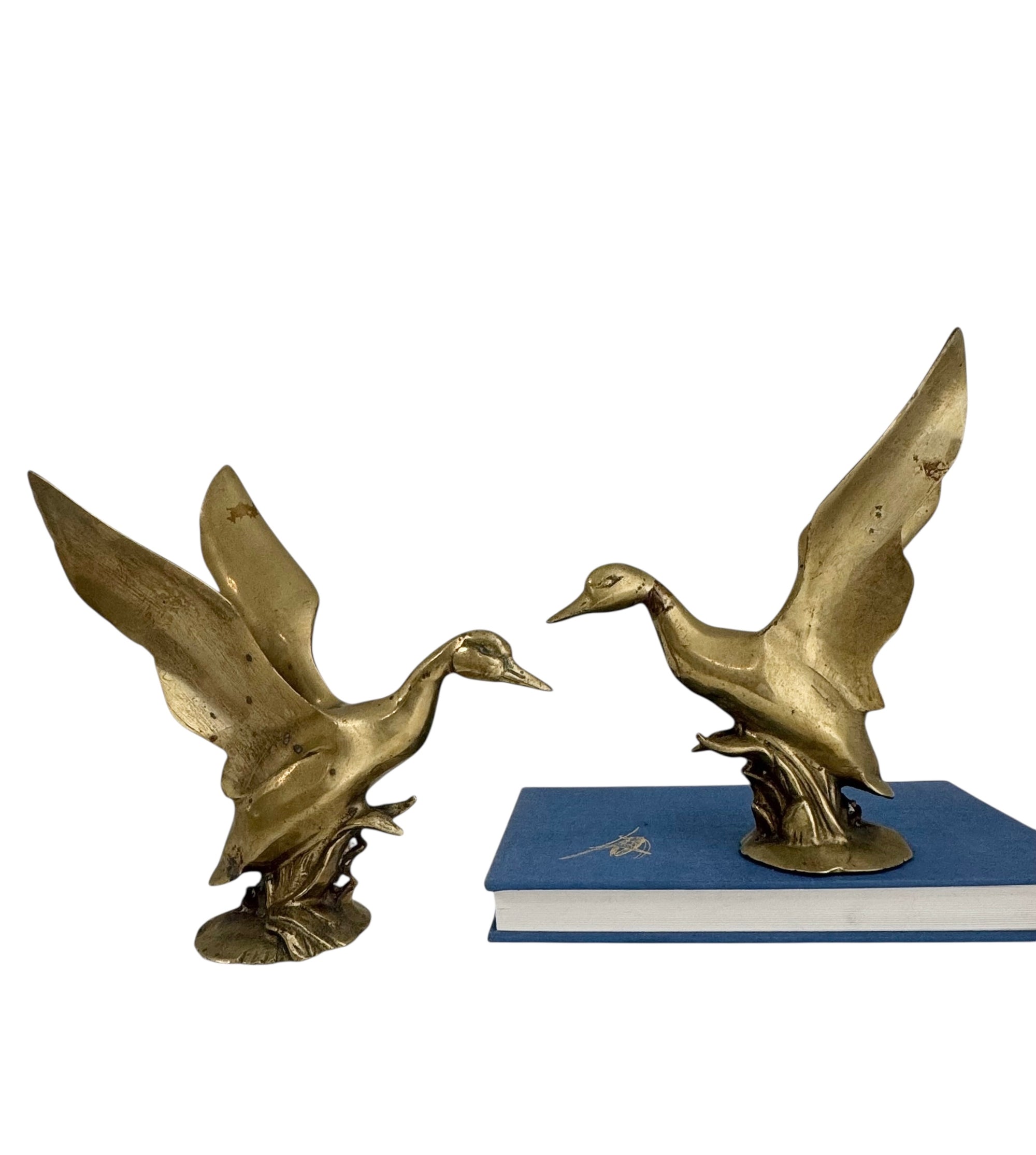 Vintage Brass Wings Up Bird Pair