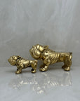 Pair of Vintage Brass Bulldogs - A Tribute to Fatherhood and Friendship