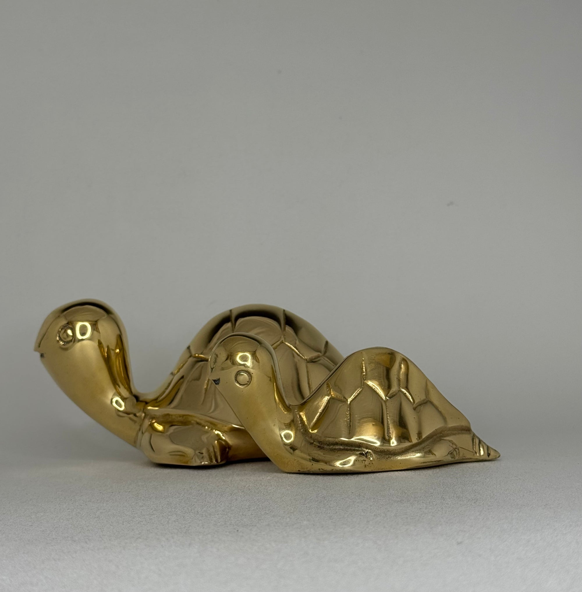 Vintage Brass Turtle Pals- A Pair