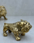 Pair of Vintage Brass Bulldogs - A Tribute to Fatherhood and Friendship