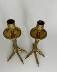 Brass Claw Candlesticks