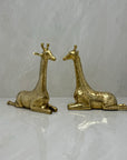 Vintage Brass Sitting Giraffes-A Pair