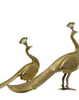 Vintage Brass Peacocks