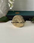 Vintage Brass Shell with Hand Etched Images