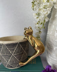 Vintage Brass Frog Plant Hanger